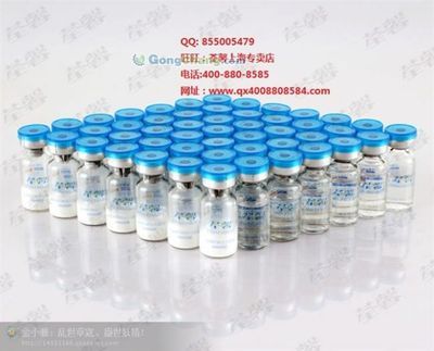 河源市委老干部局 傳承紅色基因，服務銀發群體的重要力量